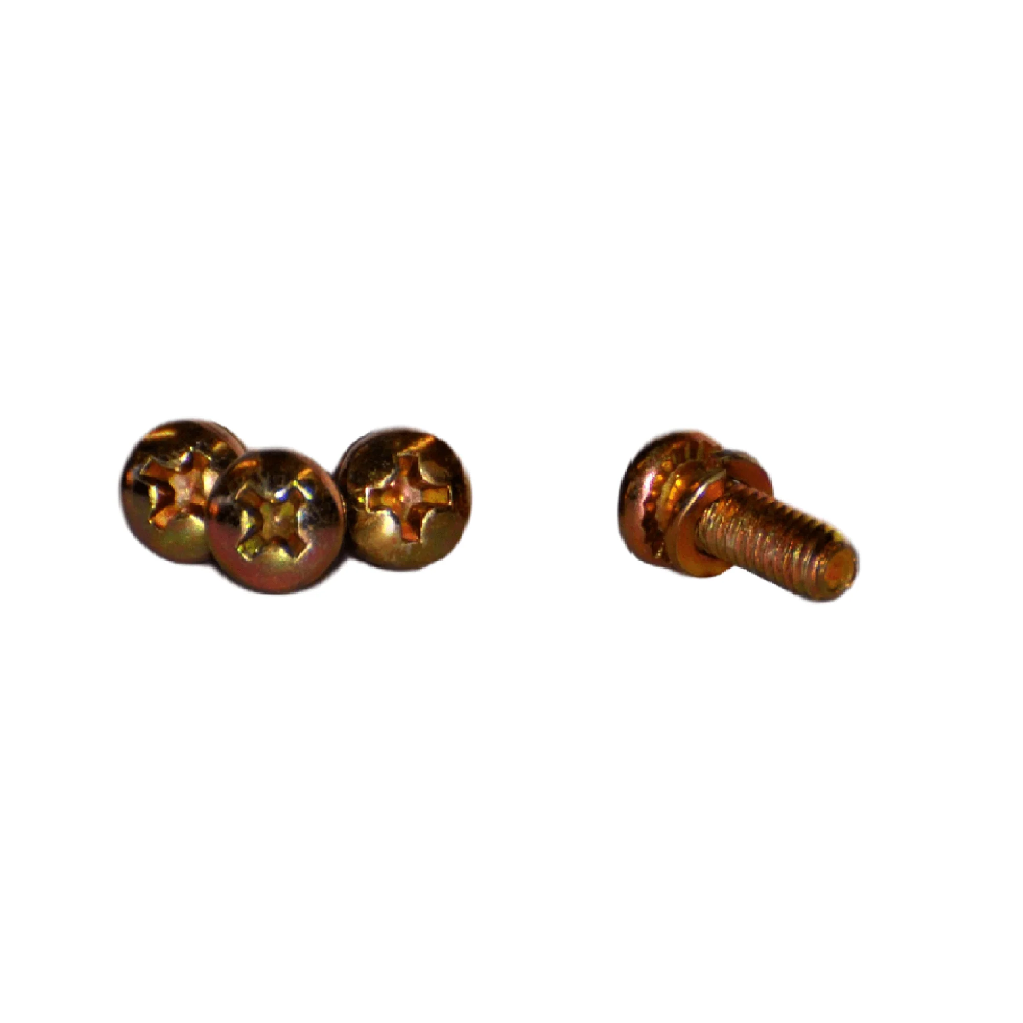 Arbortech Allsaw AS170 Screws for Belt Cover, Set of 4