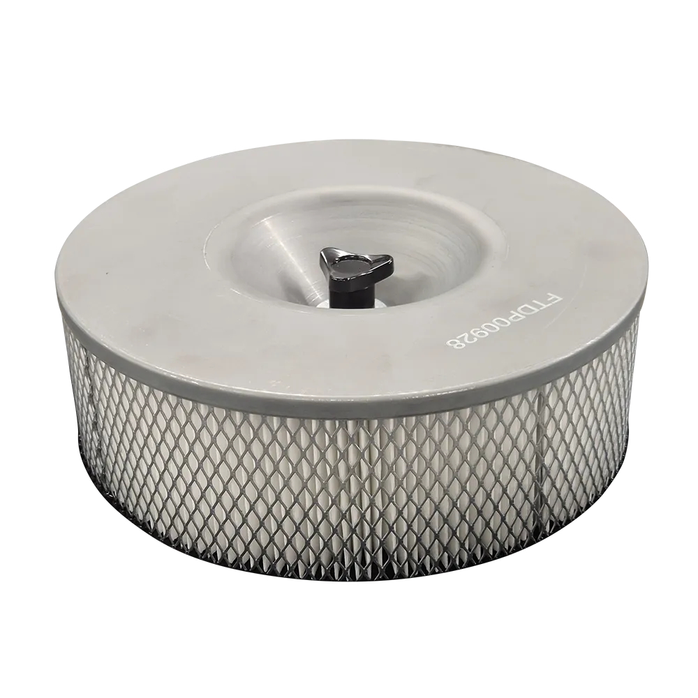 MAXVAC Petrovac PV90 Dry Filter Kit